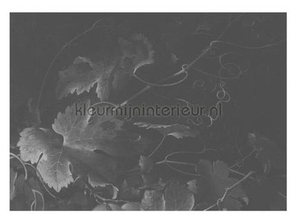Kek Amsterdam Golden Age Flowers WP-347 | Bestellen bij https://www.kleurmijninterieur.nl/