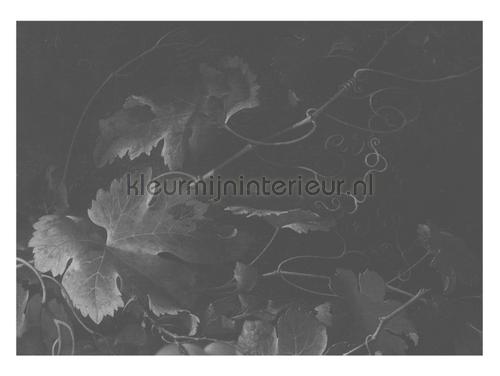 Kek Amsterdam Golden Age Flowers WP-347 | Bestellen bij https://www.kleurmijninterieur.nl/