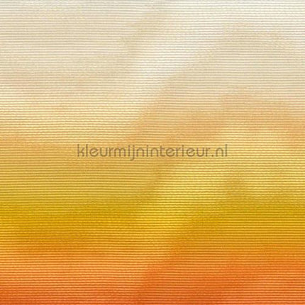 Elitis Moire RM 1028 01 | Bestellen bij https://www.kleurmijninterieur.nl/