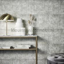 Hookedonwalls Amur 15115 | Bestellen bij https://www.kleurmijninterieur.nl/