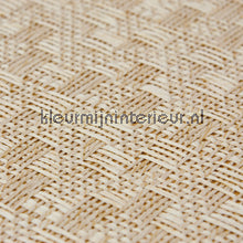 Kleurmijninterieur Natuurlijke Weefsels GPW-PW-065 | Bestellen bij https://www.kleurmijninterieur.nl/