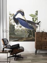 Kek Amsterdam Flora en Fauna pa-011 | Bestellen bij https://www.kleurmijninterieur.nl/