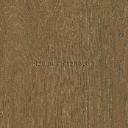 Bodaq Hout spw19 | Bestellen bij https://www.kleurmijninterieur.nl/