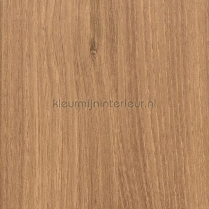 Bodaq Hout w356 | Bestellen bij https://www.kleurmijninterieur.nl/