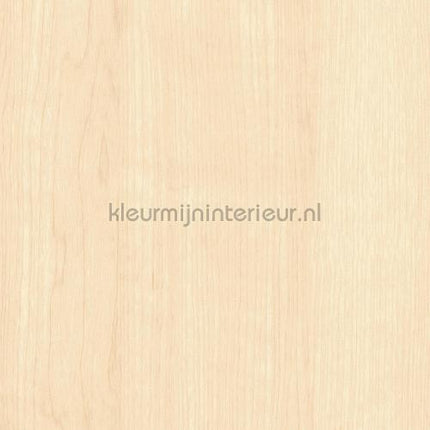 Bodaq Hout w935 | Bestellen bij https://www.kleurmijninterieur.nl/