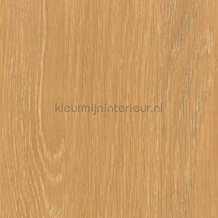 Bodaq Hout z848s | Bestellen bij https://www.kleurmijninterieur.nl/