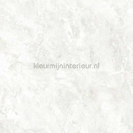 Bodaq Marmer ns118 | Bestellen bij https://www.kleurmijninterieur.nl/