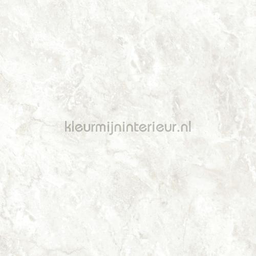 Bodaq Marmer ns118 | Bestellen bij https://www.kleurmijninterieur.nl/