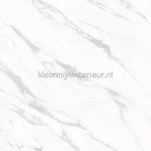 Bodaq Marmer ns814 | Bestellen bij https://www.kleurmijninterieur.nl/