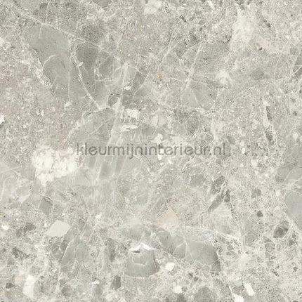Bodaq Marmer pm008 | Bestellen bij https://www.kleurmijninterieur.nl/