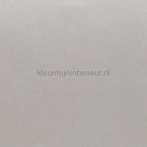 Bodaq Metalen dm036 | Bestellen bij https://www.kleurmijninterieur.nl/