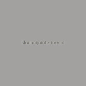 Bodaq Uni s143 | Bestellen bij https://www.kleurmijninterieur.nl/