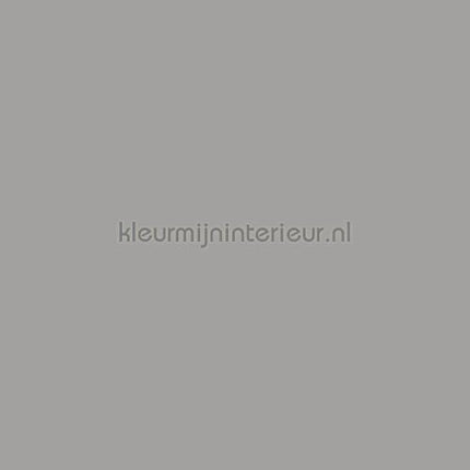 Bodaq Uni s143 | Bestellen bij https://www.kleurmijninterieur.nl/