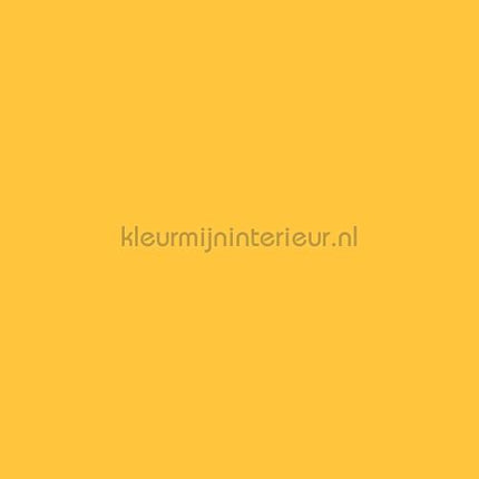Bodaq Uni s146 | Bestellen bij https://www.kleurmijninterieur.nl/