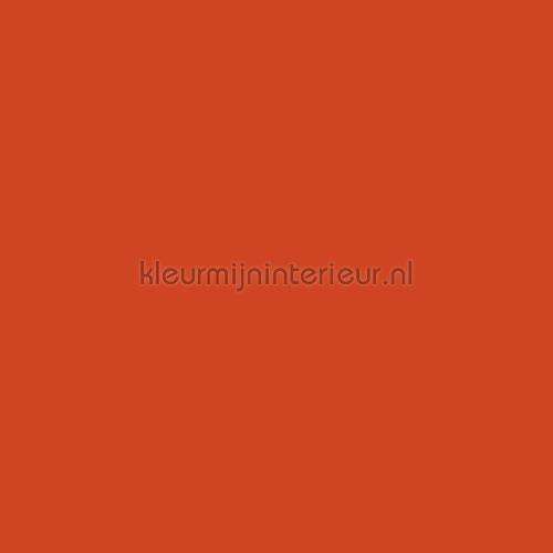 Bodaq Uni s147 | Bestellen bij https://www.kleurmijninterieur.nl/