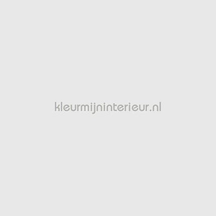 Bodaq Uni s158 | Bestellen bij https://www.kleurmijninterieur.nl/