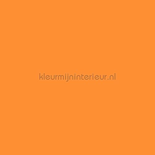 Bodaq Uni s169 | Bestellen bij https://www.kleurmijninterieur.nl/