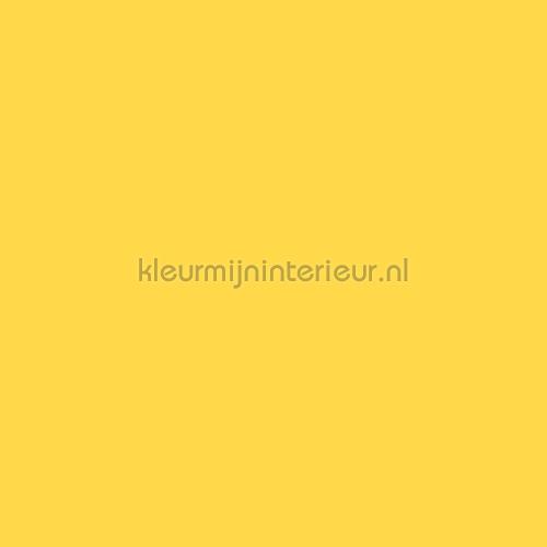 Bodaq Uni s188 | Bestellen bij https://www.kleurmijninterieur.nl/