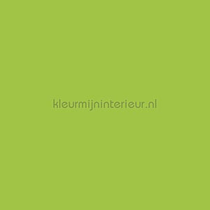 Bodaq Uni s189 | Bestellen bij https://www.kleurmijninterieur.nl/