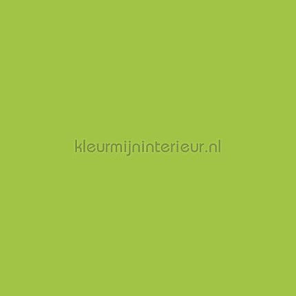Bodaq Uni s189 | Bestellen bij https://www.kleurmijninterieur.nl/