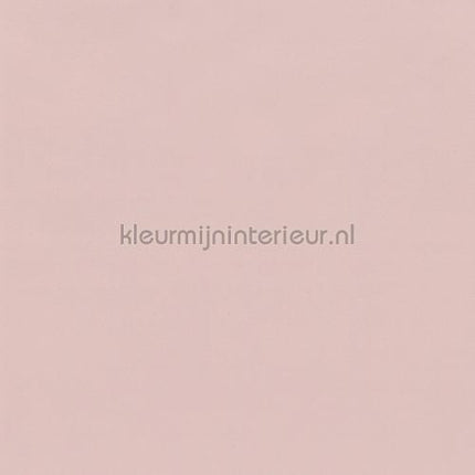 Bodaq Uni s207 | Bestellen bij https://www.kleurmijninterieur.nl/