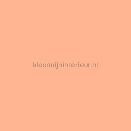 Bodaq Uni s213 | Bestellen bij https://www.kleurmijninterieur.nl/