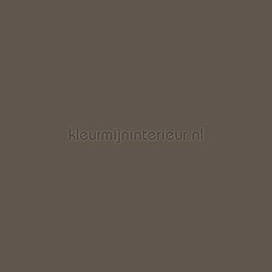 Bodaq Uni s234 | Bestellen bij https://www.kleurmijninterieur.nl/