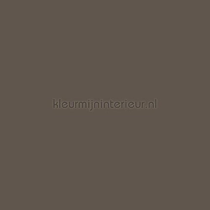 Bodaq Uni s234 | Bestellen bij https://www.kleurmijninterieur.nl/