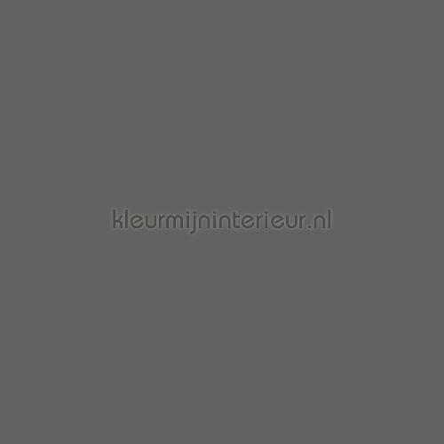Bodaq Uni smt06 | Bestellen bij https://www.kleurmijninterieur.nl/
