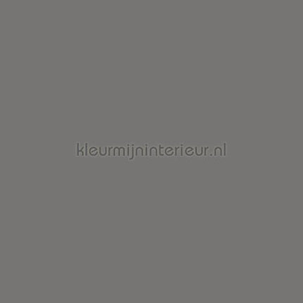 Bodaq Uni smt08 | Bestellen bij https://www.kleurmijninterieur.nl/