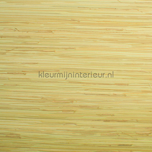 Rodeka Savanna 99-004 | Bestellen bij https://www.kleurmijninterieur.nl/