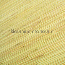Rodeka Savanna 99-004 | Bestellen bij https://www.kleurmijninterieur.nl/