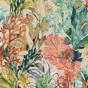 Hookedonwalls Caribbean 27217 | Bestellen bij https://www.kleurmijninterieur.nl/