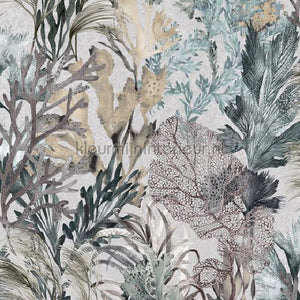 Hookedonwalls Caribbean 27218 | Bestellen bij https://www.kleurmijninterieur.nl/