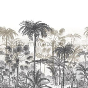 Casadeco Nicaragua NICA86461377 | Bestellen bij https://www.kleurmijninterieur.nl/