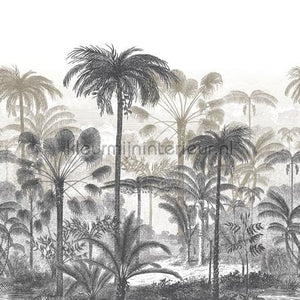 Casadeco Nicaragua NICA86451377 | Bestellen bij https://www.kleurmijninterieur.nl/
