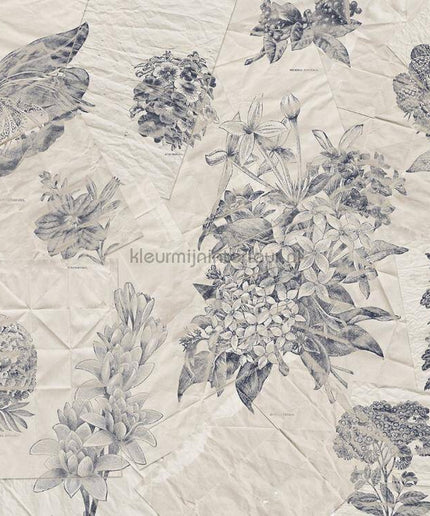 Komar RAW R3-045 | Bestellen bij https://www.kleurmijninterieur.nl/