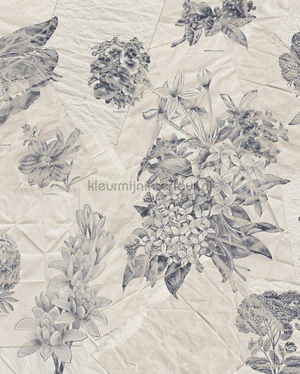 Komar RAW R4-045 | Bestellen bij https://www.kleurmijninterieur.nl/