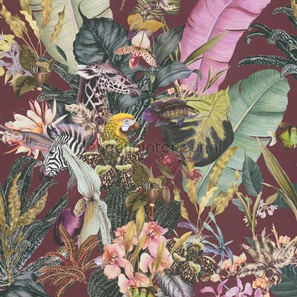 AS Creation Dream Flowery 381765 | Bestellen bij https://www.kleurmijninterieur.nl/