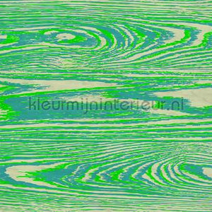 AS Creation Walls by Patel 3 DD122588 | Bestellen bij https://www.kleurmijninterieur.nl/