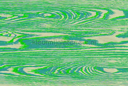 AS Creation Walls by Patel 3 DD122588 | Bestellen bij https://www.kleurmijninterieur.nl/