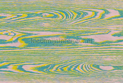 AS Creation Walls by Patel 3 DD122596 | Bestellen bij https://www.kleurmijninterieur.nl/