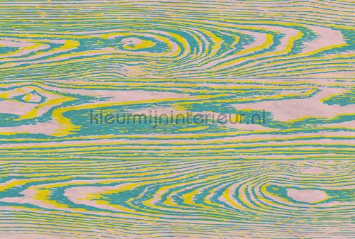 AS Creation Walls by Patel 3 DD122596 | Bestellen bij https://www.kleurmijninterieur.nl/