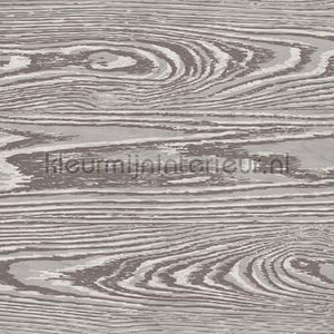AS Creation Walls by Patel 3 DD122600 | Bestellen bij https://www.kleurmijninterieur.nl/