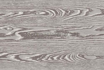 AS Creation Walls by Patel 3 DD122600 | Bestellen bij https://www.kleurmijninterieur.nl/