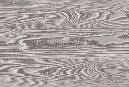 AS Creation Walls by Patel 3 DD122600 | Bestellen bij https://www.kleurmijninterieur.nl/