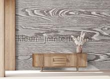 AS Creation Walls by Patel 3 DD122600 | Bestellen bij https://www.kleurmijninterieur.nl/