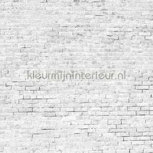 Coordonne Random Papers 2 6800618 | Bestellen bij https://www.kleurmijninterieur.nl/