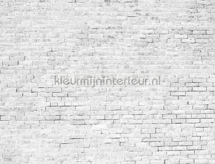 Coordonne Random Papers 2 6800618 | Bestellen bij https://www.kleurmijninterieur.nl/