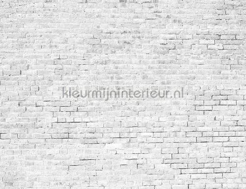 Coordonne Random Papers 2 6800618 | Bestellen bij https://www.kleurmijninterieur.nl/